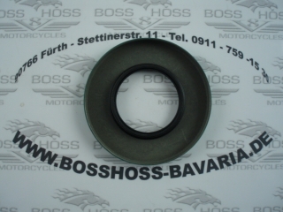 Simmerring Antriebswelle - Seal Shaft  Boss Hoss